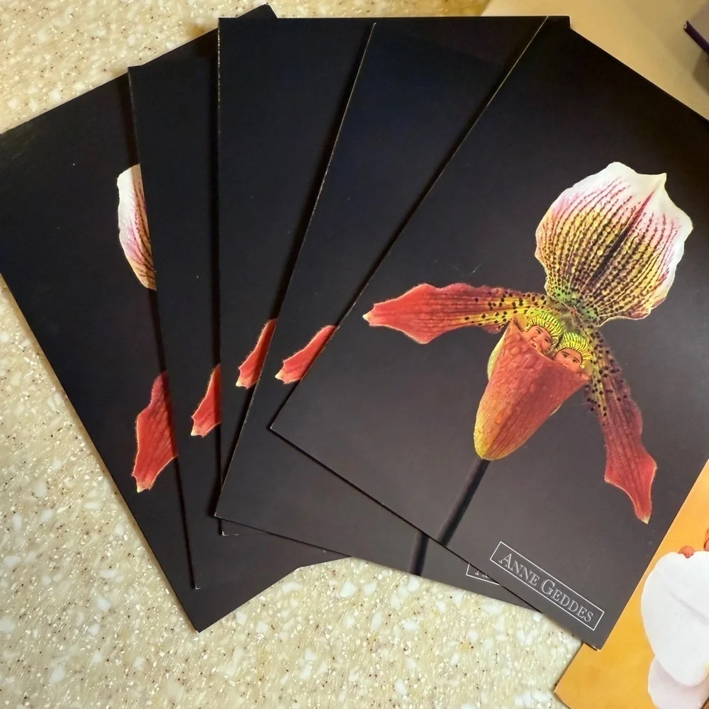 Vintage The Anne Geddes Collection Greet Cards